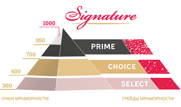 img_signature.png